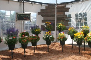 Reclaimed wood hanging backdrop at Dümmen Orange