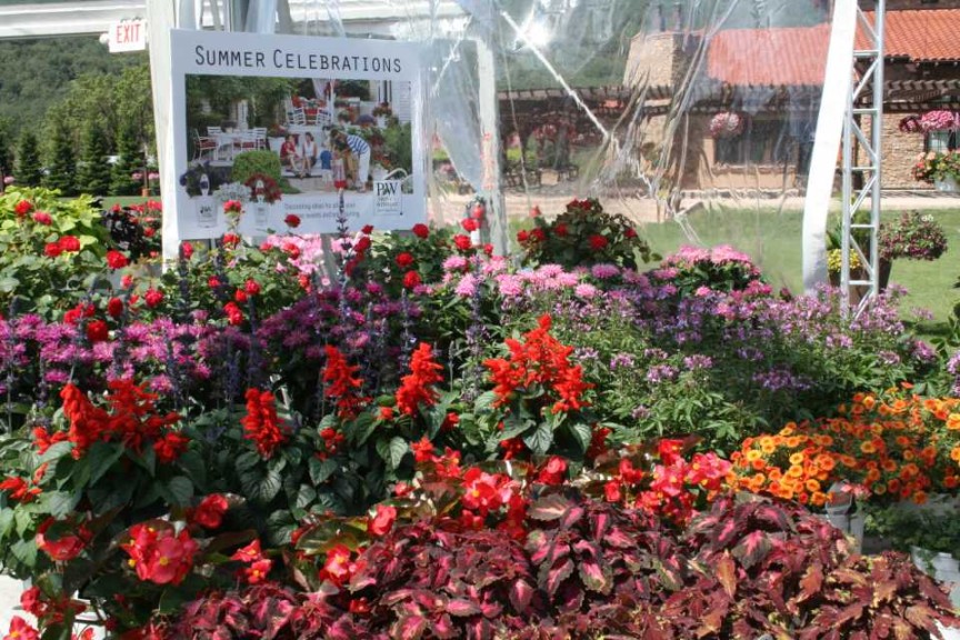 Summer Season Extender Display