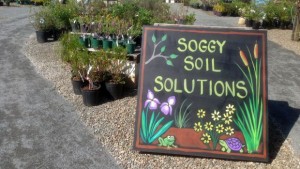 12 Questions To Test If Your Store Is New-Customer Friendly