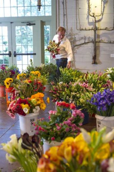 P. Allen Smith Home Grown Cut Flower Collection