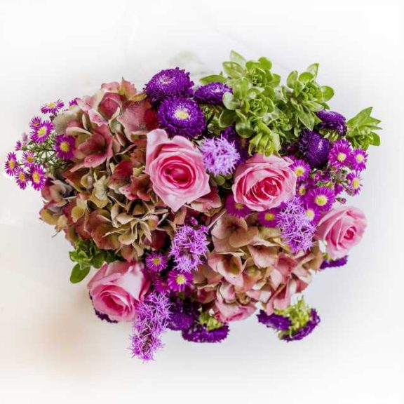 P. Allen Smith Home Grown Cut Flower Collection