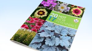 Eason Horticultural Resources Releases New Perennials Guide And Spring Trials Report