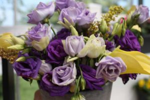 P. Allen Smith Home Grown Cut Flower Collection