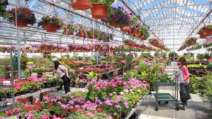 Spring 2016 Has Seen Big Sales Increases Despite A Wet April and Early May