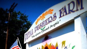 A Fire At A New Hampshire Garden Center Challenges Spring Sales