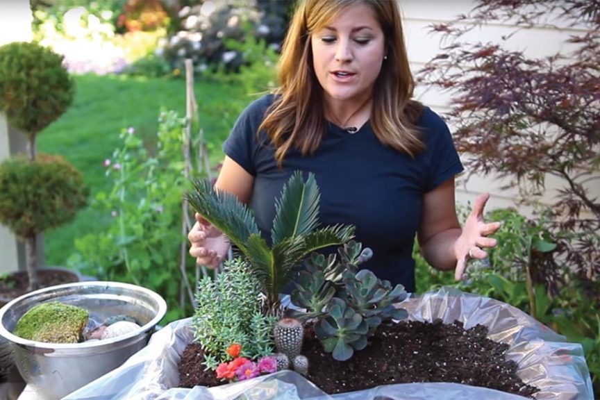 Drive Consumer Success: Educate