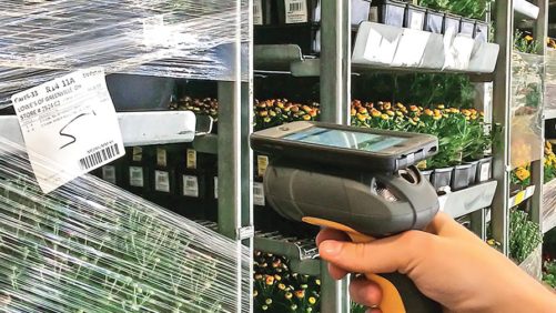 Take Your Data Management To The Next Level