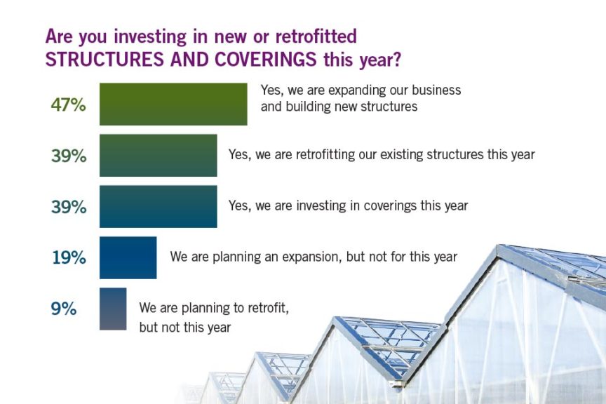 Top 100: Structures and Coverings