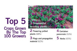 Top 100 2016 Top 5 Crops Grown