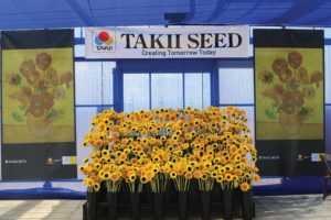 Sharpen Business Management: Partner With Other Industries