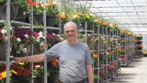 How You Can Use Lifestyle Marketing to Sell Plants