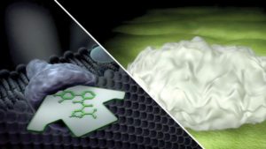 New Mode Of Action From BASF Offers Deeper Disease Control