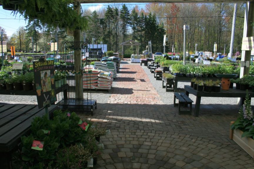 BEFORE: The side plant yard is where today's entrance, new greenhouses, and gift store are located.