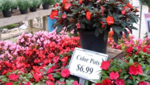 Industry’s First Plant Pricing Survey Is Open