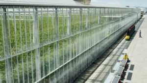 Houweling’s Tomatoes Targets Great Plains in Latest Project