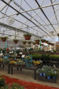 AFTER: Inside the new greenhouse