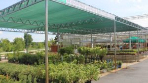 Fire Destroys Greenhouses At Oconomowoc Landscape Supply & Garden Center