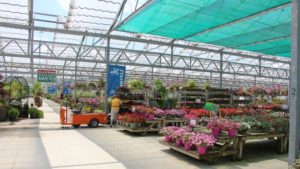 How Growers Can Help Retailers Sell More In Spring
