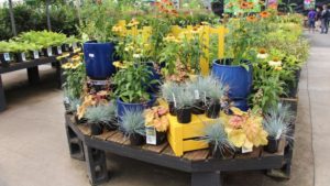 Ian Baldwin: The Five Numbers Garden Retailers Should Be Using