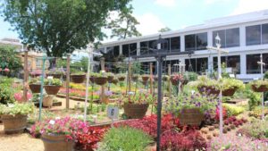 First-Ever Academy Of Crop Production Offers Snapshot Of The Greenhouse Industry’s Future