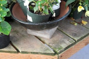 A concrete square adds a bit of height to plants on a bench at Portland Nursery