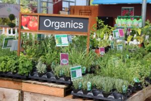 A flat pallet on a bench adds just a little lift for small plants at Farmington Gardens