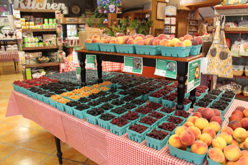 A piano bench works well on a long table display of fruit at Bauman Farms