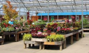 A third bench top balances on two other benches to create an endcap at Farmington Gardens