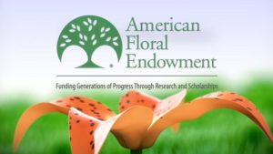 AFE Releases New Videos Highlighting Industry Successes