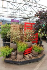 Although this red goes offscript, the repeat use of materials makes it work