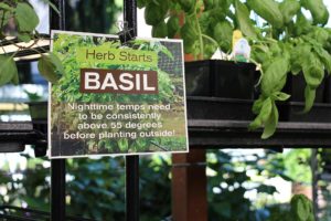 Help customers succeed with common sense instructions (Garden Fever)