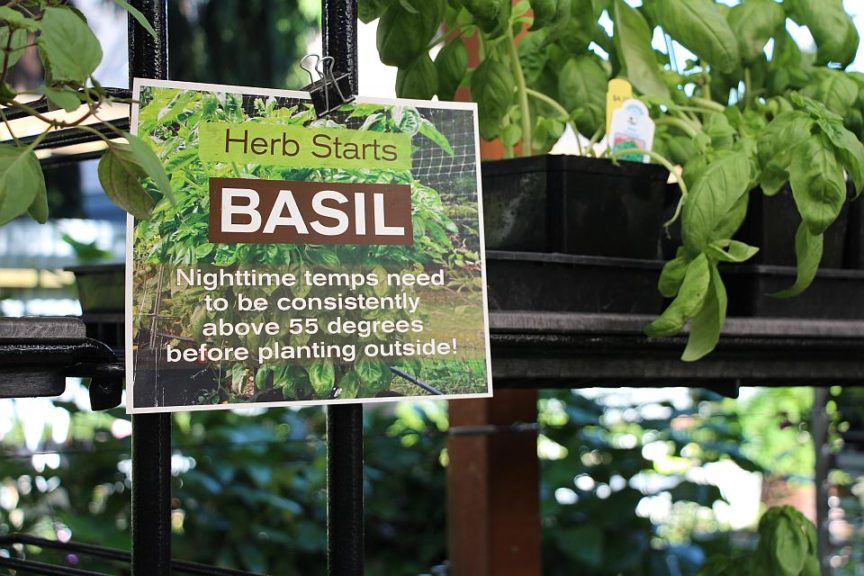 Help customers succeed with common sense instructions (Garden Fever)