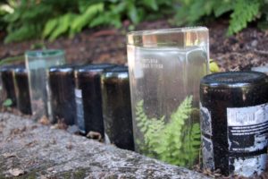 Bottle garden border at Garden Fever