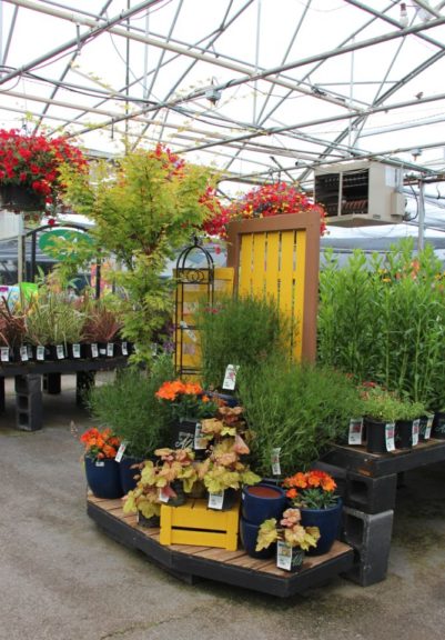 Burlap-colored paint works well with yellow