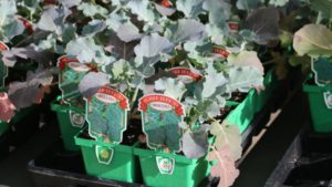 Are You Bar Coding Your Plants Like Other Garden Retailers?