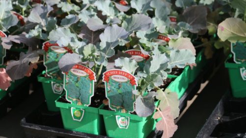 Are You Bar Coding Your Plants Like Other Garden Retailers?