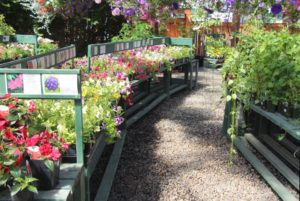 Curved aisles at Good News Gardens