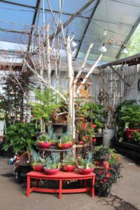 Curved bench works nicely in island displays at Shorty's