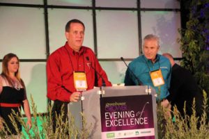 Darwin Perennials won the Industry's Choice award for the Coreopsis Uptick Series