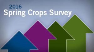 Plants Sales Are Up For Fourth Straight Year, According To Spring Crops Survey