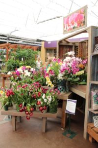 Front view of corrugated display at Al's Garden Center