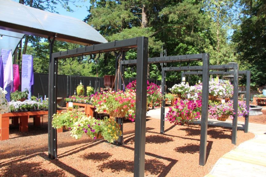 Hanging baskets and container gardens are the main attraction at The Garden Corner. The fixtures reflect that.