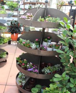 Hardware store bins used for mini plants at Cornell Farms