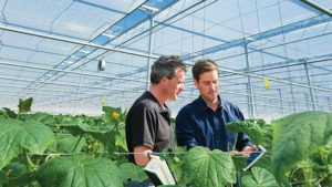 Webinar to Tackle Climate Control in the Greenhouses