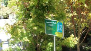 How Your Retail Plant Sales Practices Compare