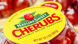 NatureSweet And Ganfer Partner On Tomato Production