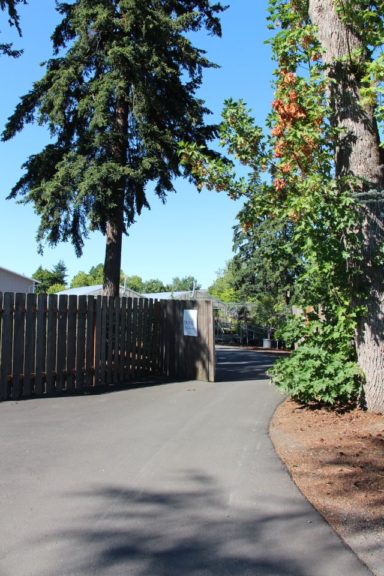 Even the path to the dock and staging area curves.