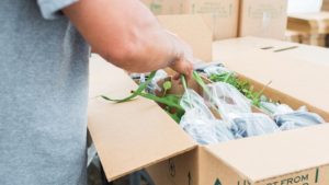 Need Help to Ship Your Plants? AmericanHort Offers a New Tool