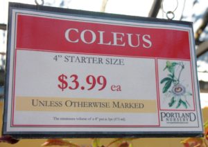 "Starter size" instead of just "4 inch plants" makes higher priced plants more valuable (Portland Nursery)
