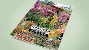 New Product Catalog From Terra Nova Nurseries Designed To Be More User-Friendly